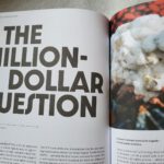 The Million Dollar Question: Was bringen Baumwoll-Siegel?