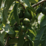 Konzeption & Moderation: Digitale Austauschreihe „Seeing differently“